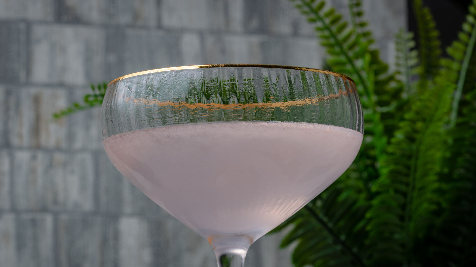 Daquiri
